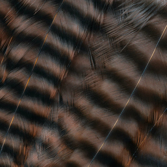 Metz Hackle Predator Pack Grizzly Brown