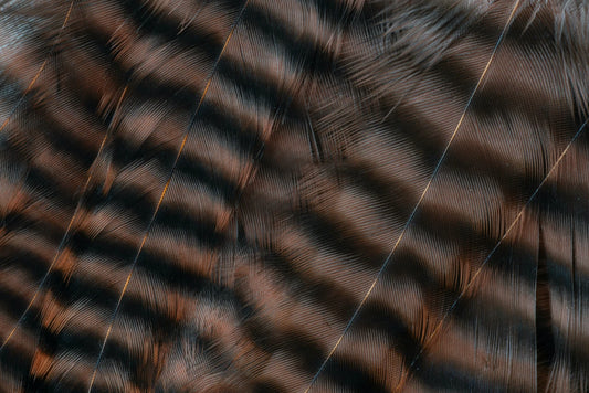 Metz Hackle Predator Pack Grizzly Brown