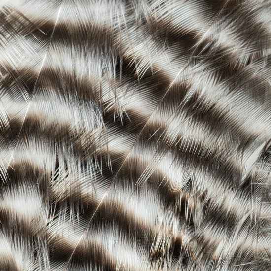 Metz Hackle Predator Pack Grizzly Natural