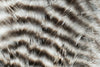 Metz Hackle Predator Pack Grizzly Natural