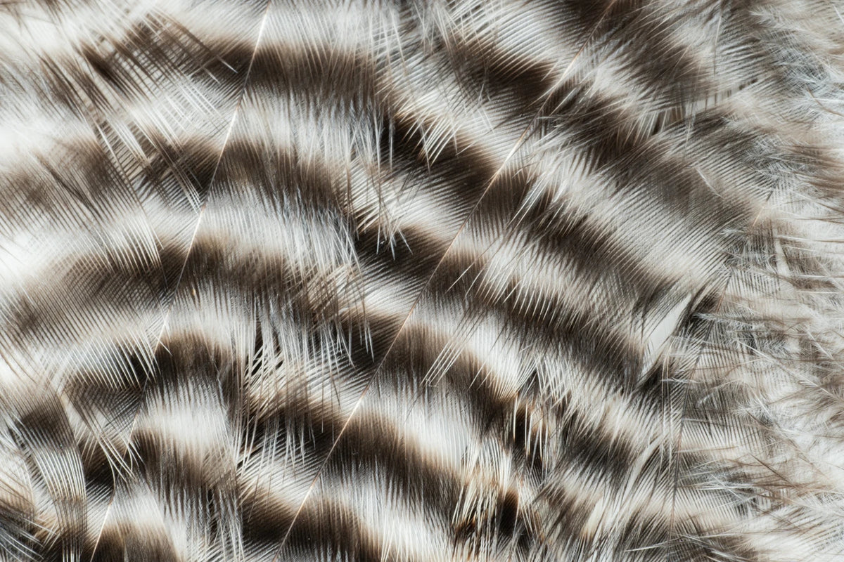 Metz Hackle Predator Pack Grizzly Natural
