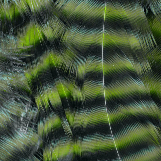 Metz Hackle Predator Pack Grizzly Olive