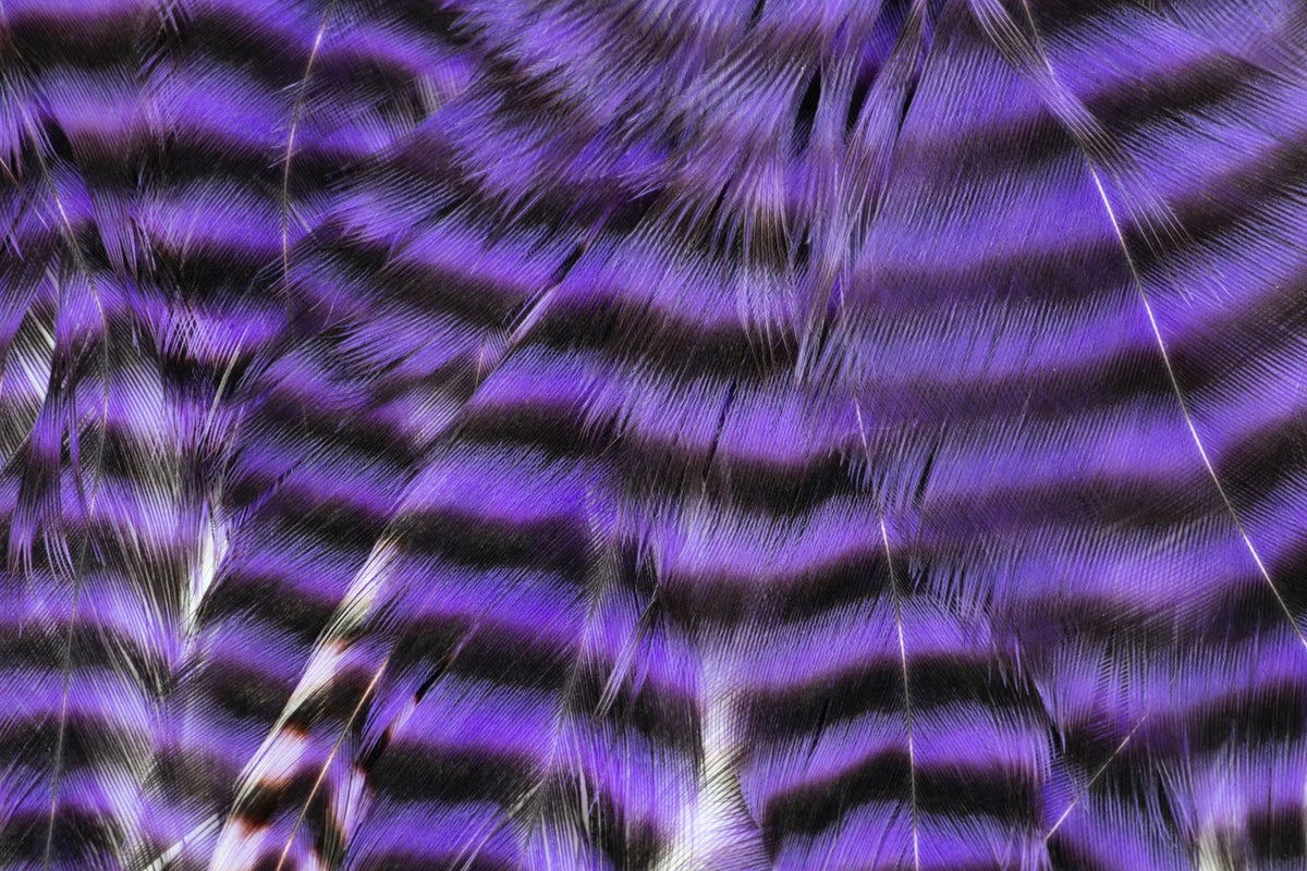 Metz Hackle Predator Pack Grizzly Purple