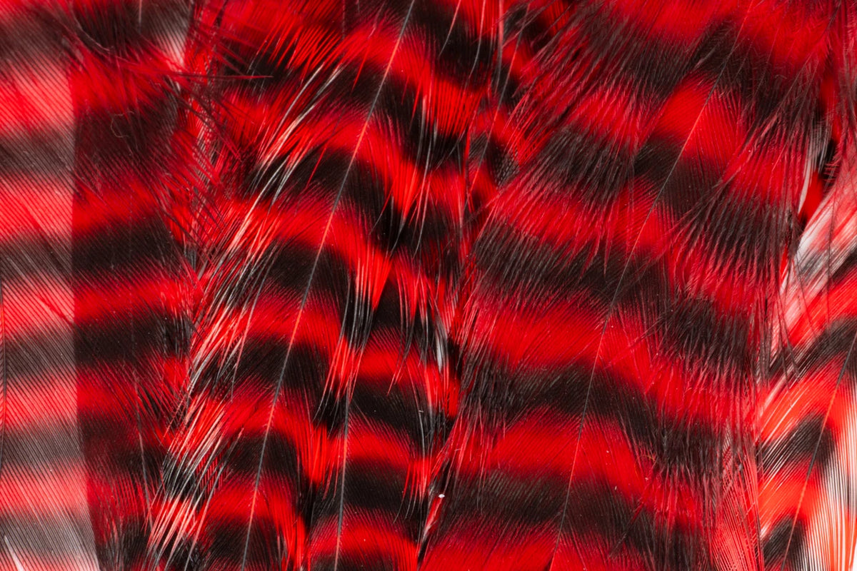 Metz Hackle Predator Pack Grizzly Red