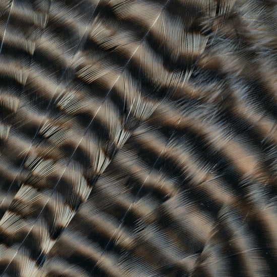 Metz Hackle Predator Pack Grizzly Tan