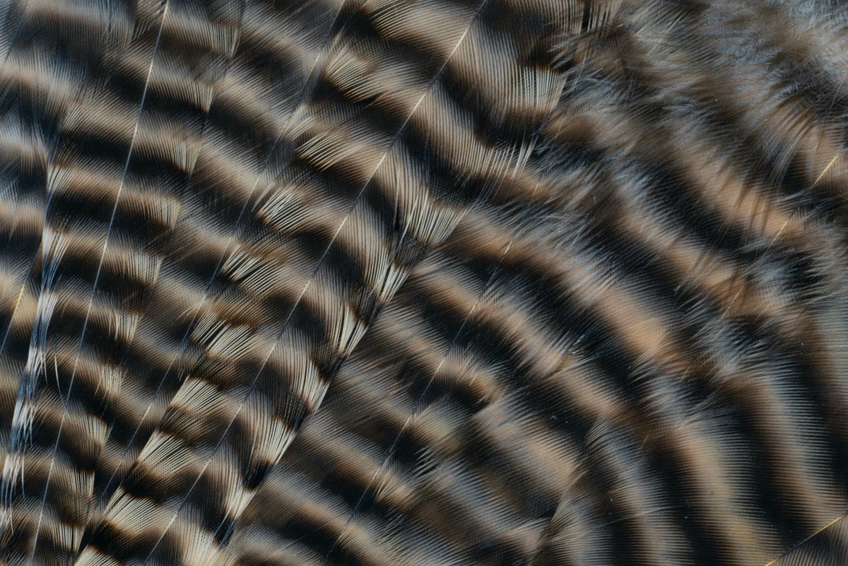 Metz Hackle Predator Pack Grizzly Tan