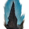 Preddy's Northern Bucktail Caribbean Blue