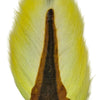 Preddy's Northern Bucktail Fl. Lemon