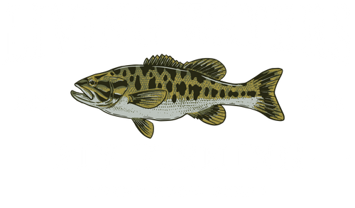 Living Waters Fly Fishing
