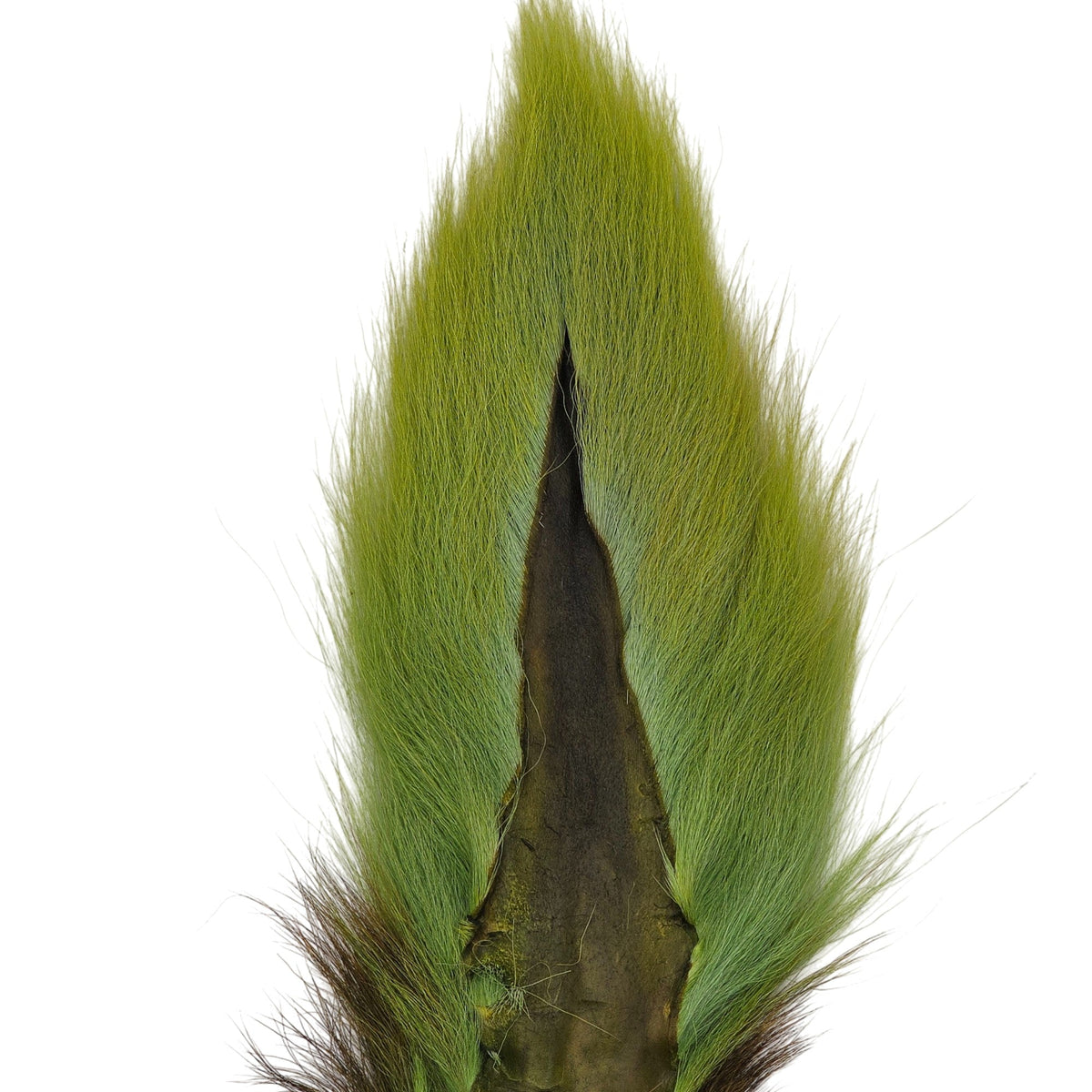 Preddy's Northern Bucktail Radioactive