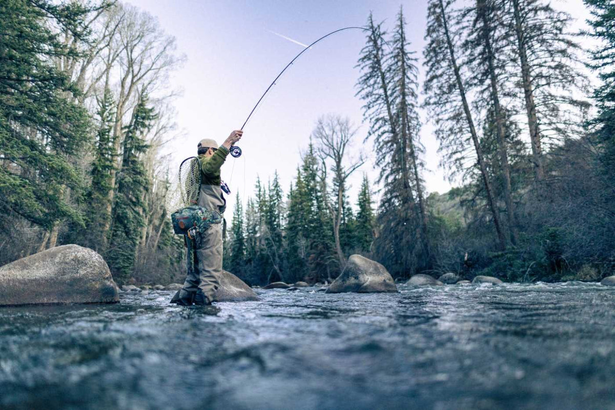TFO Pro III Fly Rod