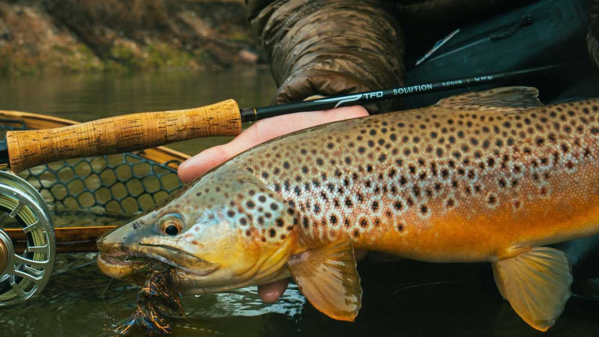 TFO Solution Fly Rod