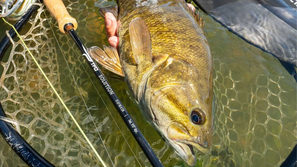 TFO Solution Fly Rod
