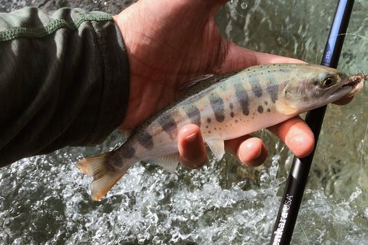 Tenkara USA Ito 13'/14'7" Rod