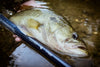 Tenkara USA Ukiyo 9'10" Rod