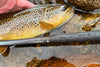 Tenkara USA Yama 11' Rod