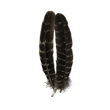 Wapsi Ozark Turkey Quill Barred