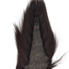 Preddy's Northern Bucktail Black