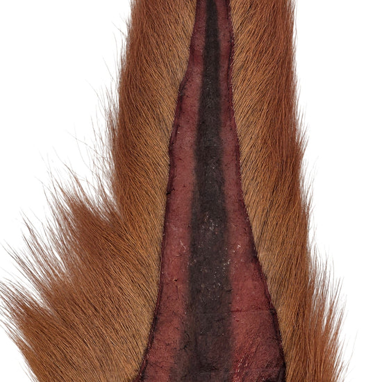 Preddy's Northern Bucktail Brown