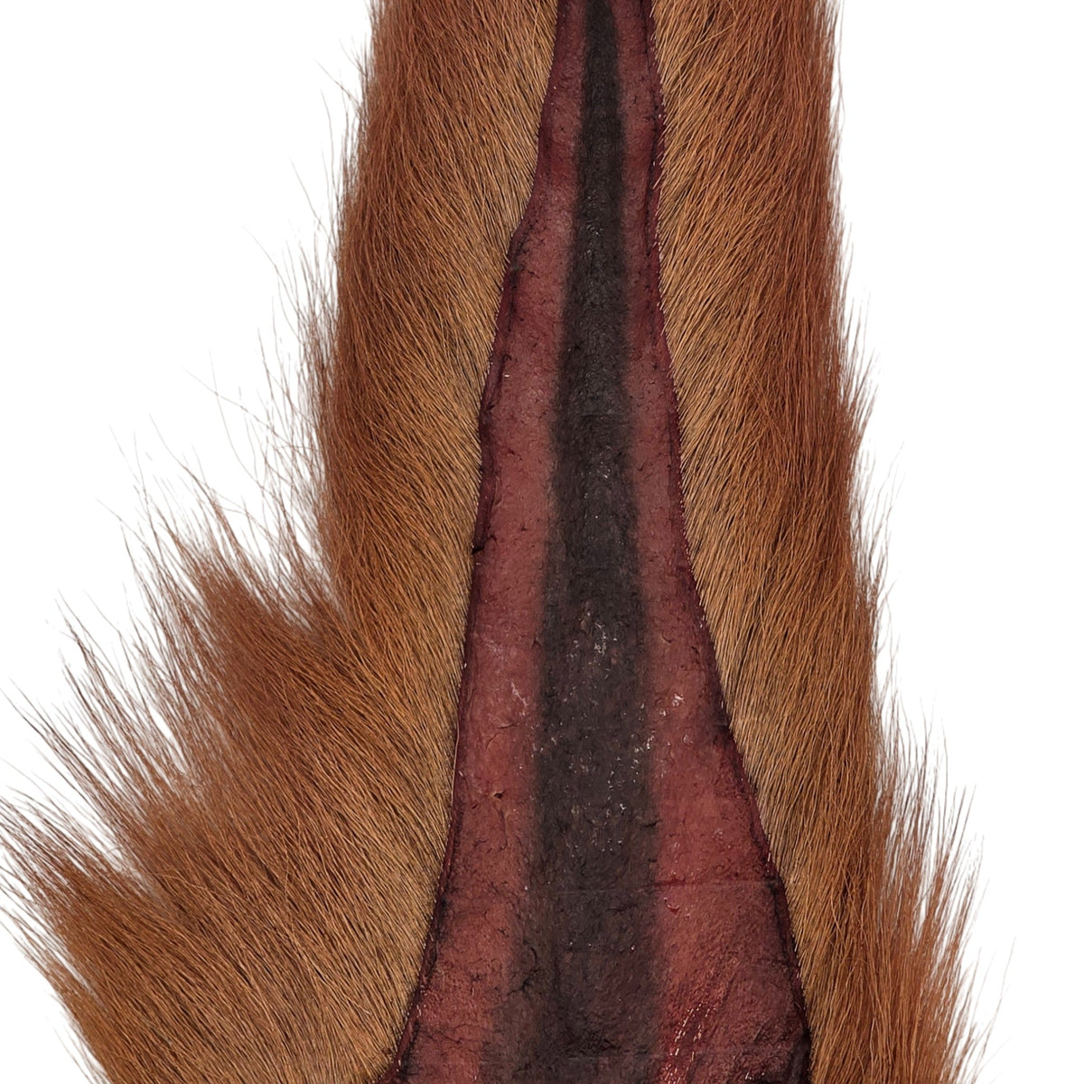 Preddy's Northern Bucktail Brown