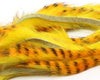 Hareline Barred Polychrome Rabbit Strips Yellow/Golden Orange Barred Black