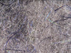 Hareline Cohen's Carp Dub Molting Gray
