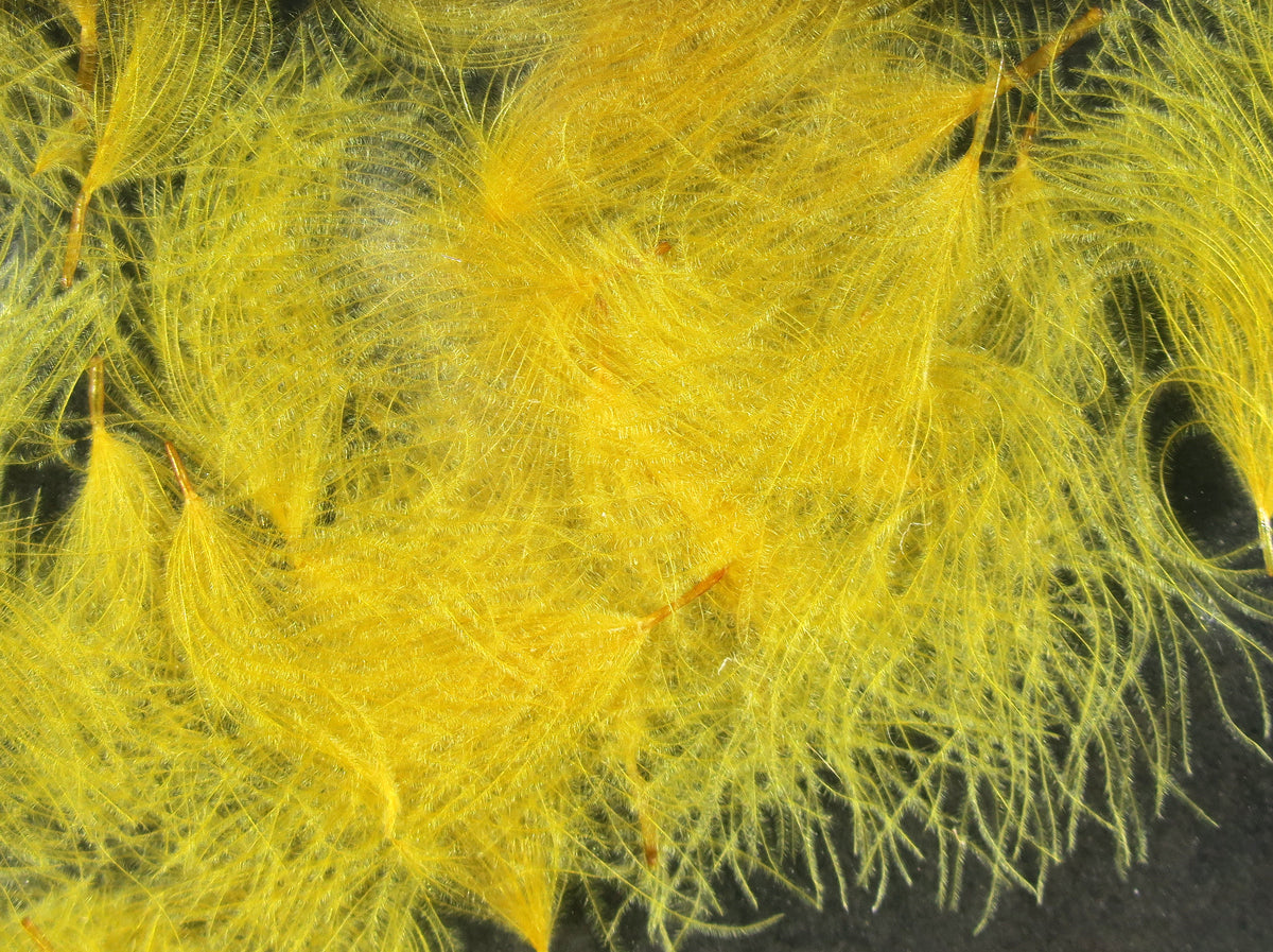Hareline CDC Oiler Puffs Ginger