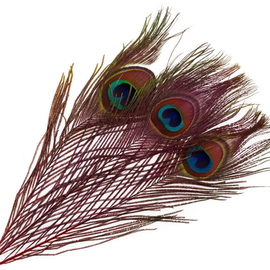 Hareline Peacock Eyed Sticks