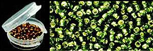 Wapsi Killer Caddis Glass Beads