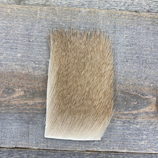 Short & Fine Deer Body Hair Ash