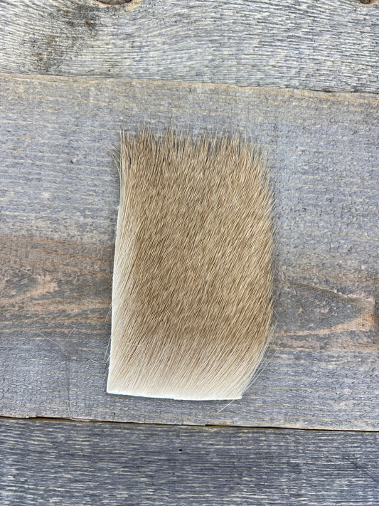 Short & Fine Deer Body Hair Ash