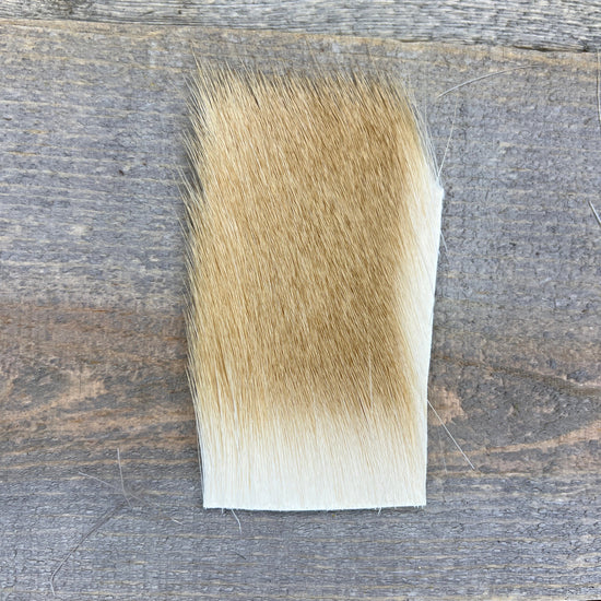 Short & Fine Deer Body Hair Bleached