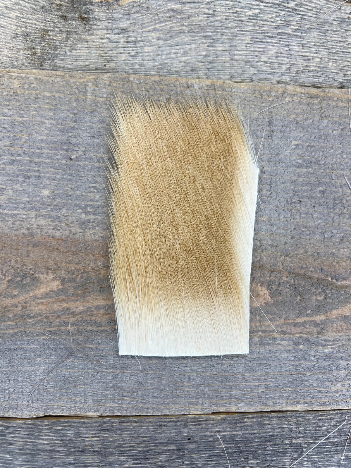 Short & Fine Deer Body Hair Bleached