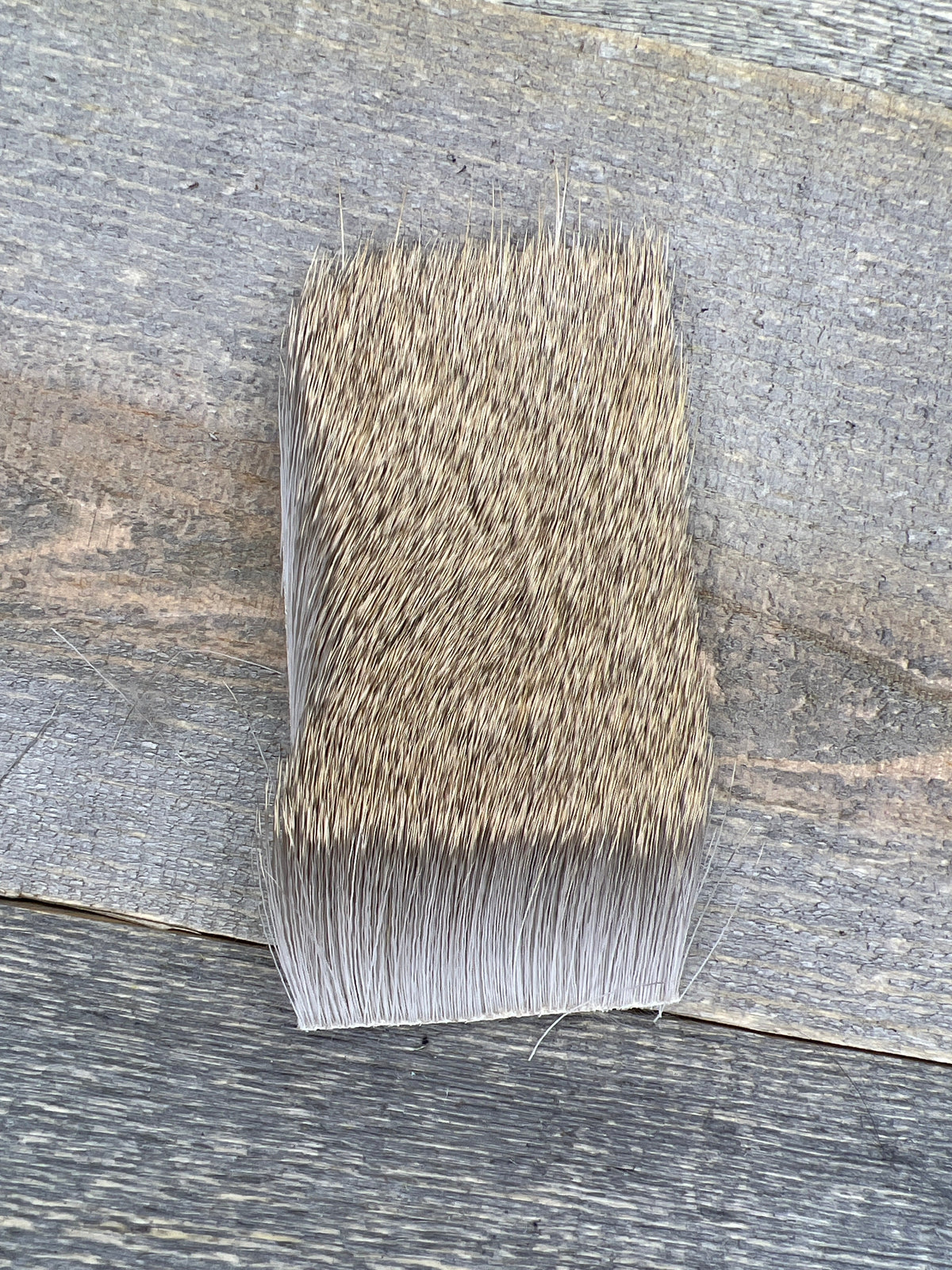 Short & Fine Deer Body Hair Blonde