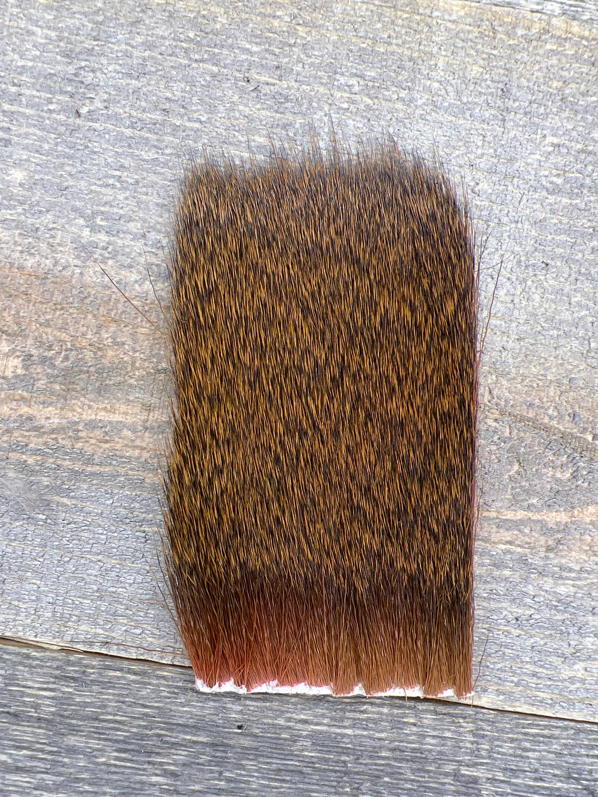 Short & Fine Deer Body Hair Cinnamon