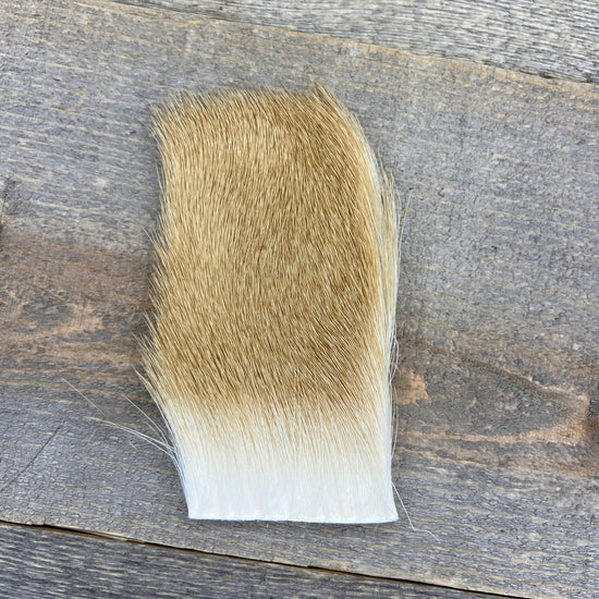 Short & Fine Deer Body Hair Ginger Bleach