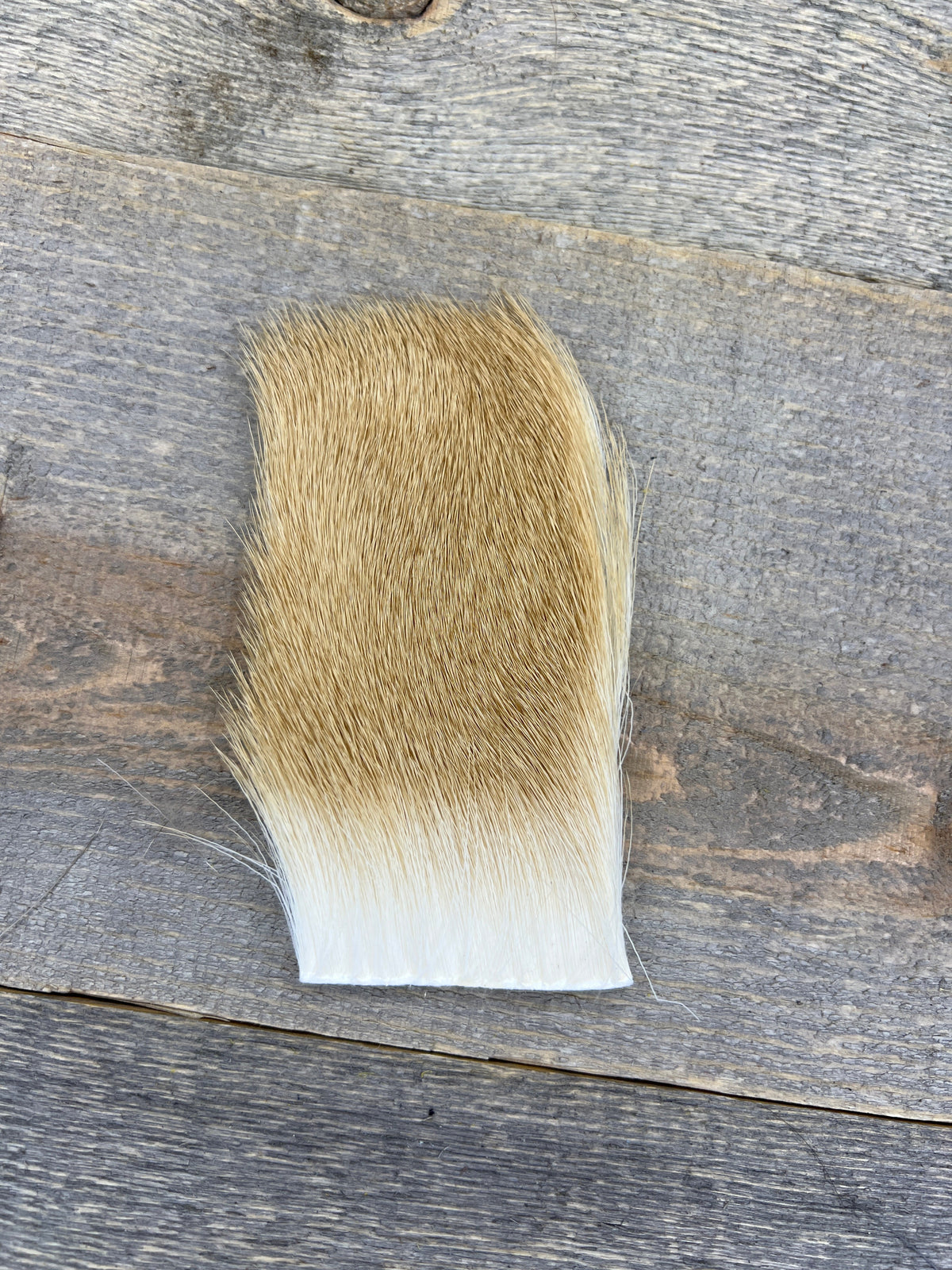 Short & Fine Deer Body Hair Ginger Bleach
