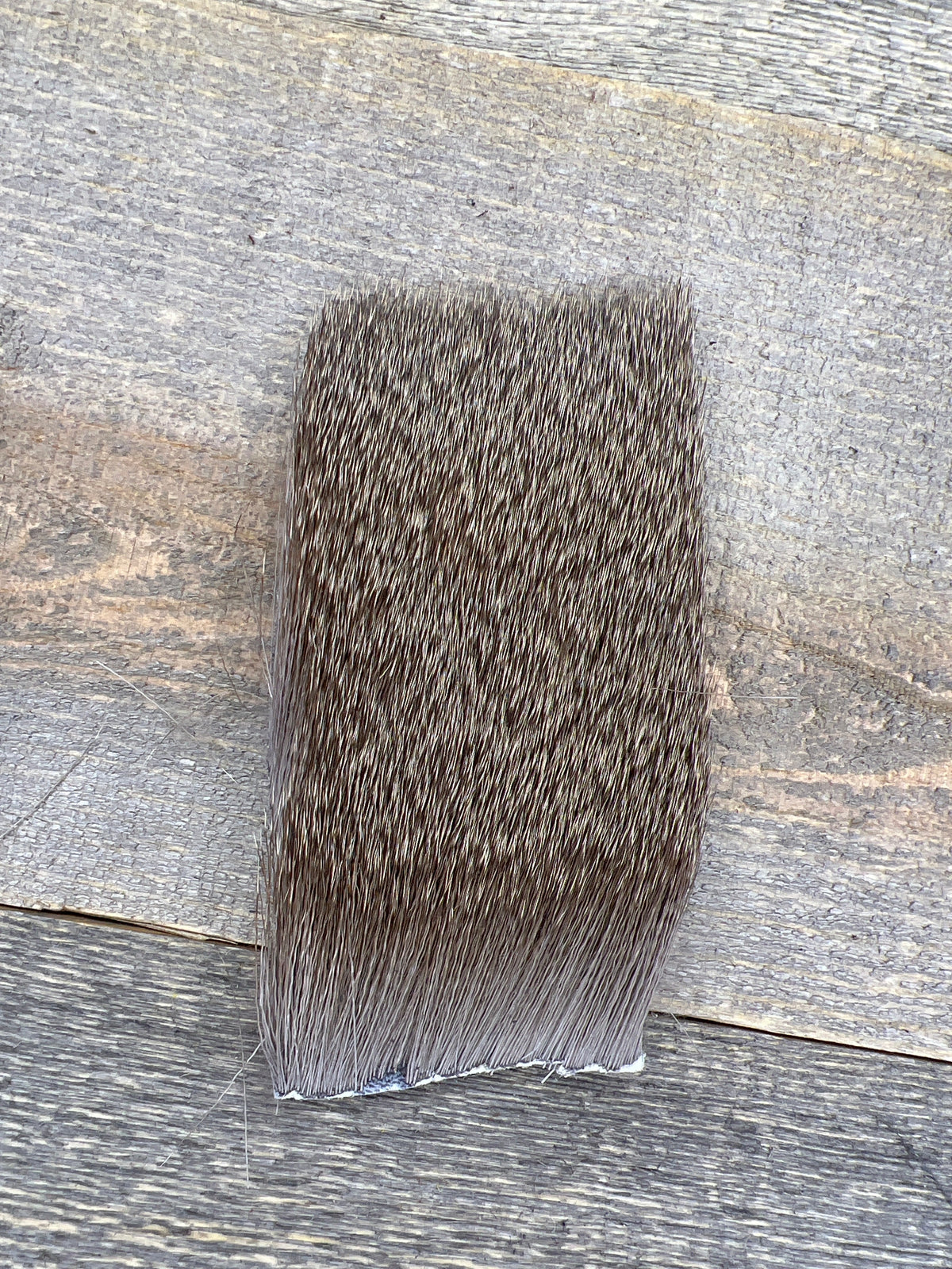 Short & Fine Deer Body Hair Light Dun
