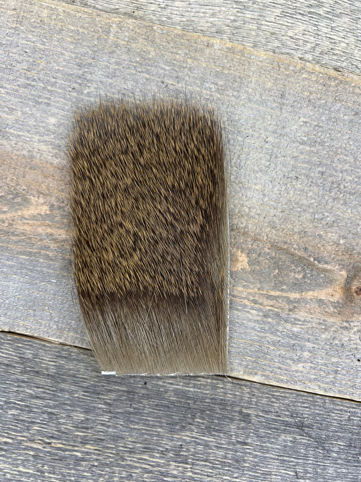 Short & Fine Deer Body Hair Tan