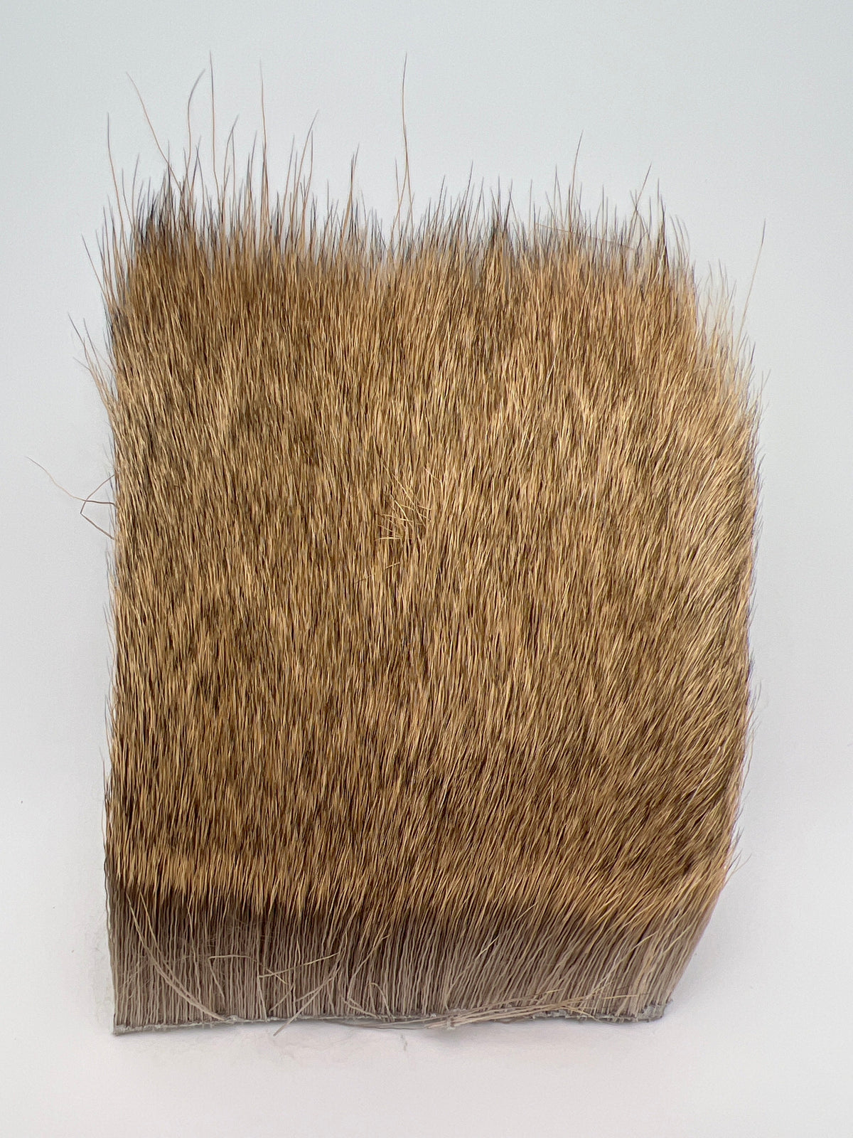 Wapsi Deer Body Hair Bleached