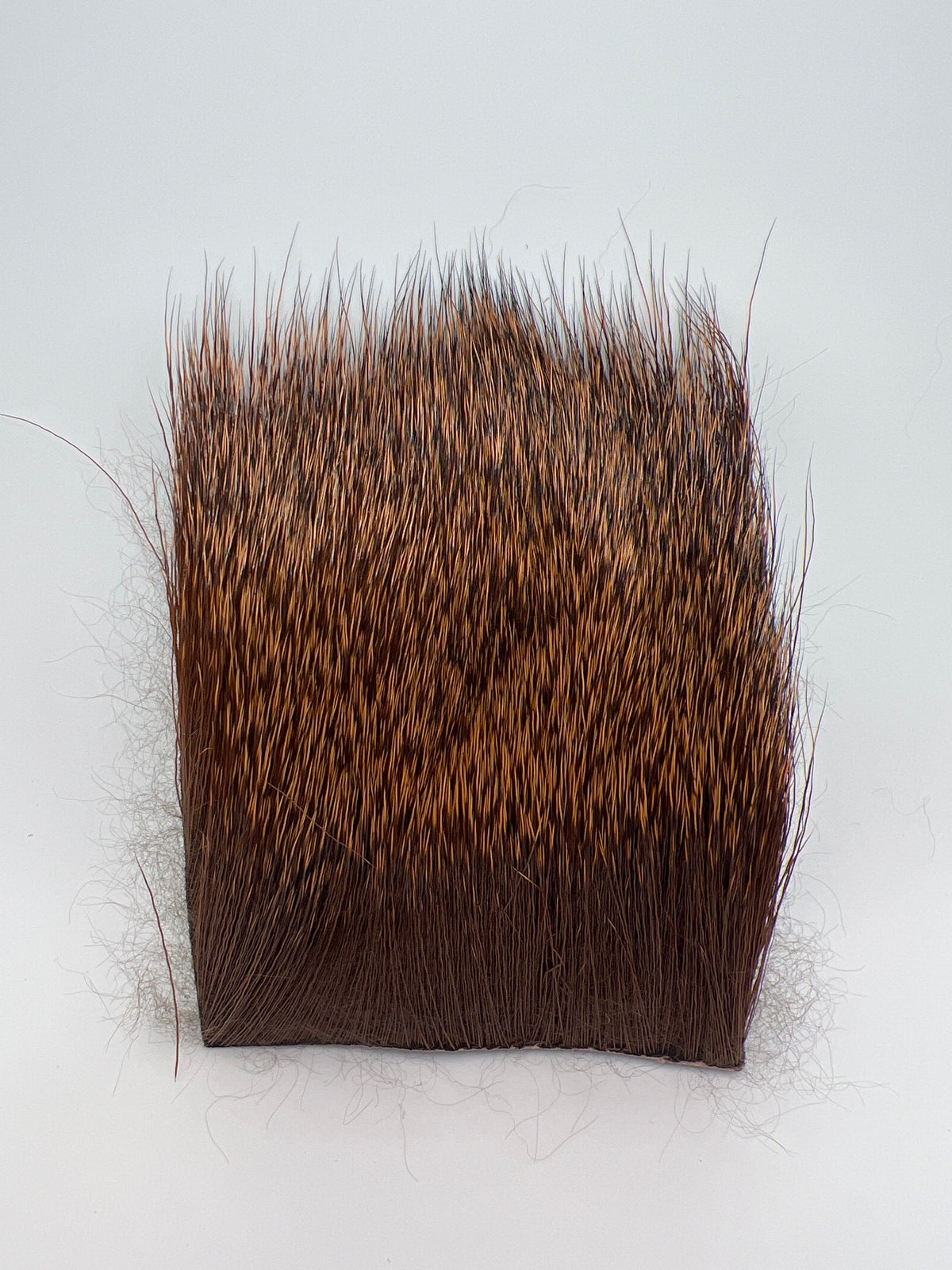 Wapsi Deer Body Hair Rusty Brown