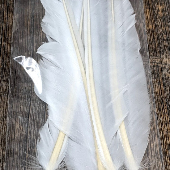 Wapsi Duck Quill White