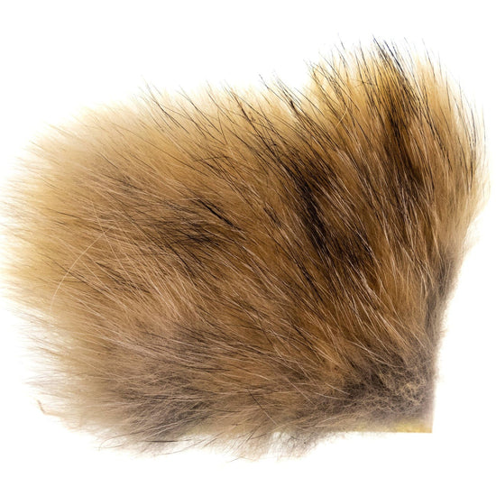 Wapsi Coyote