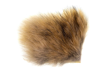 Wapsi Coyote