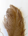 Wapsi Ostrich Herl Tan