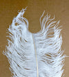 Wapsi Ostrich Herl White