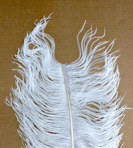 Wapsi Ostrich Herl White