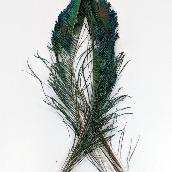 Wapsi Peacock Swords