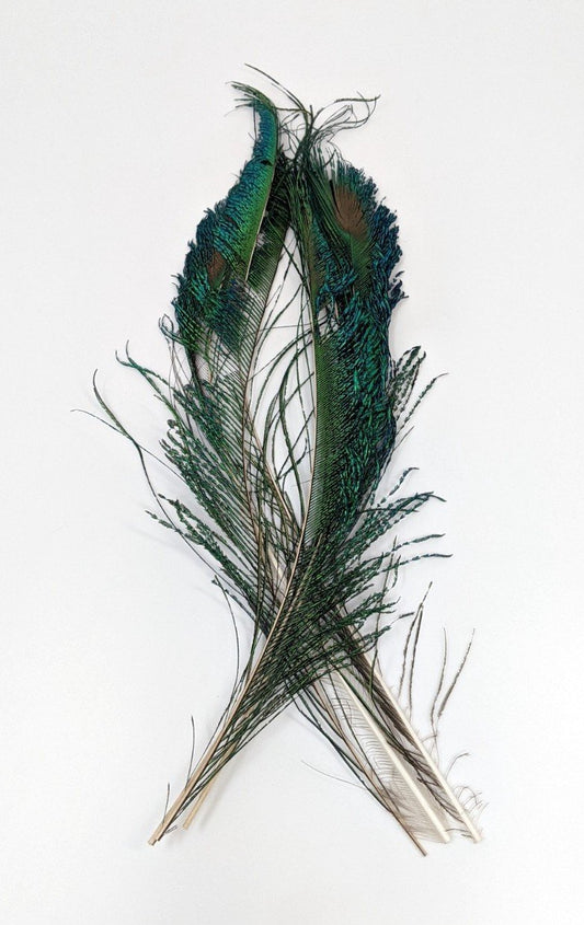 Wapsi Peacock Swords